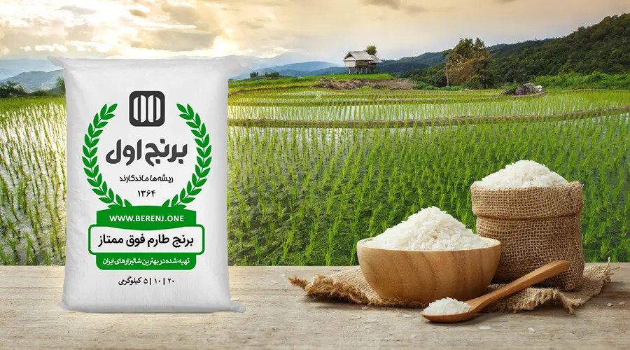 خرید برنج با قیمت کارخانه